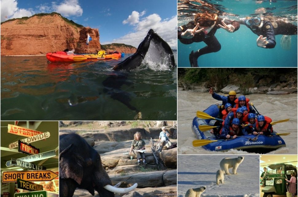 A Genuine Adventure and Amazing Travel Experience with Markha Terk in India