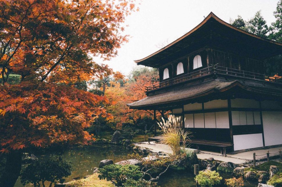 Knowing About The Best Time To Visit Japan And When Not To