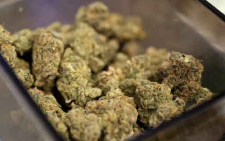 Dispensary Near Me Ensuring Easy Access to Quality Cannabis Products