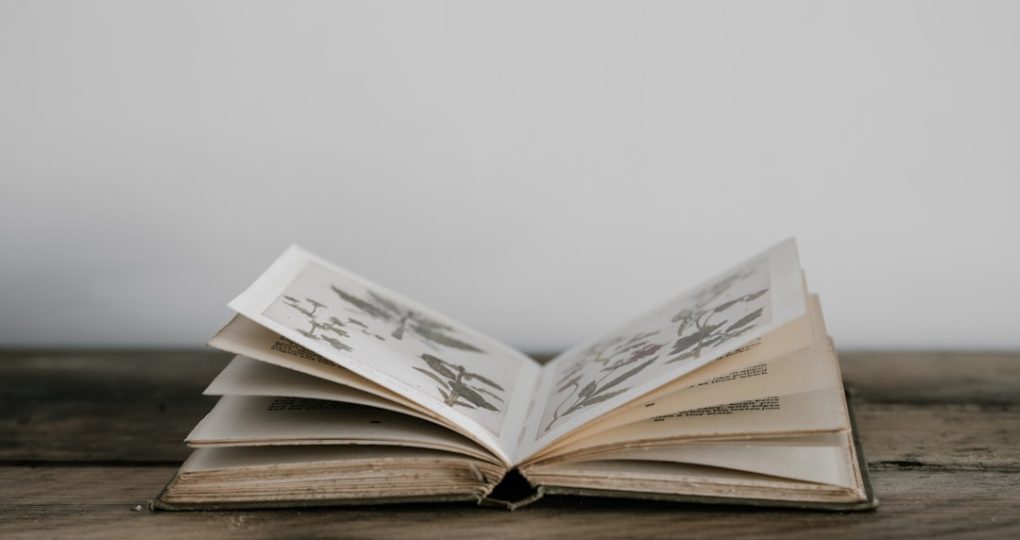 An open vintage book with illustrated pages on a wooden table.