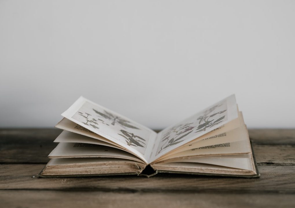 An open vintage book with illustrated pages on a wooden table.
