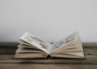 An open vintage book with illustrated pages on a wooden table.