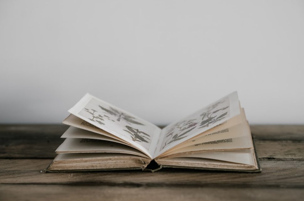 An open vintage book with illustrated pages on a wooden table.