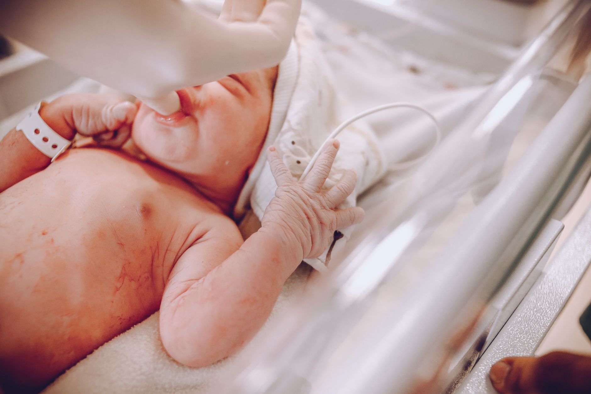 birth tourism restrictions
