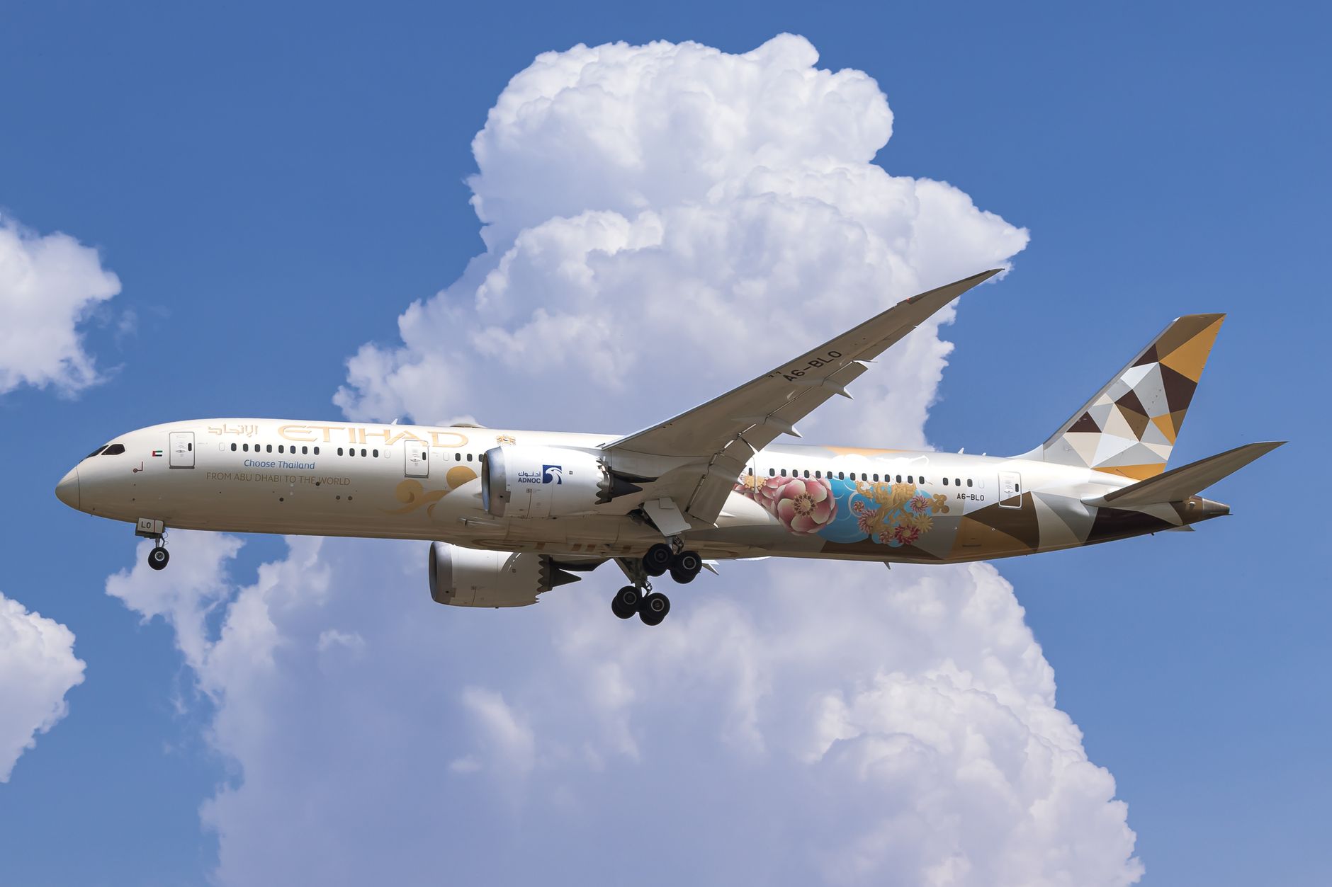 Etihad flight expansion