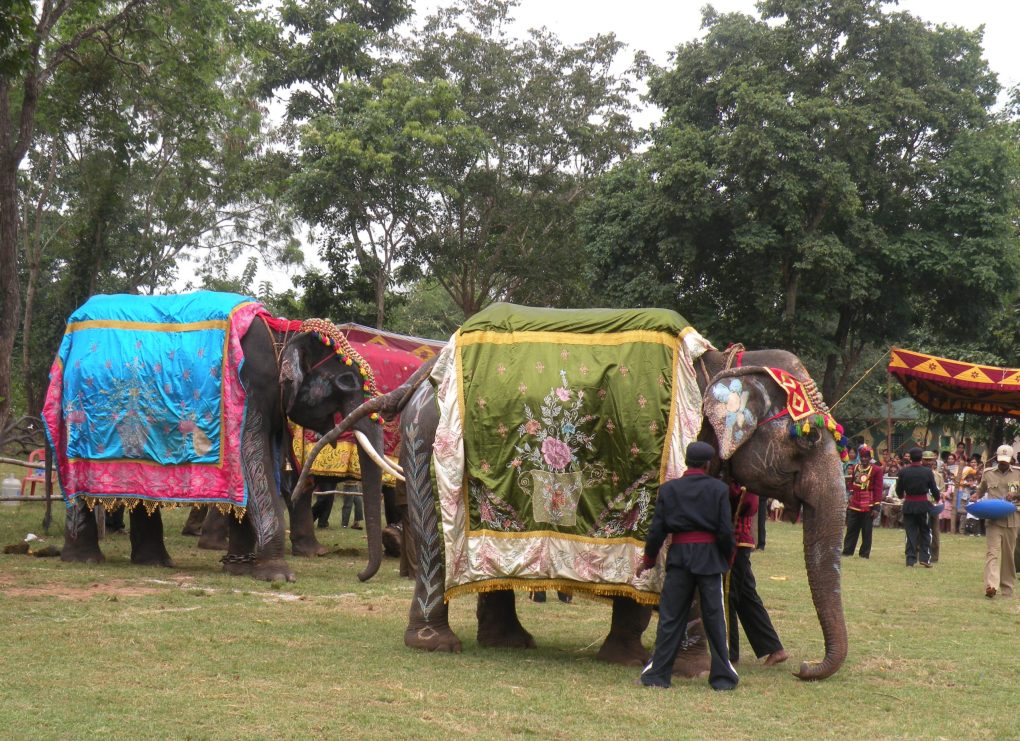 Sakrebyle Elephant Camp