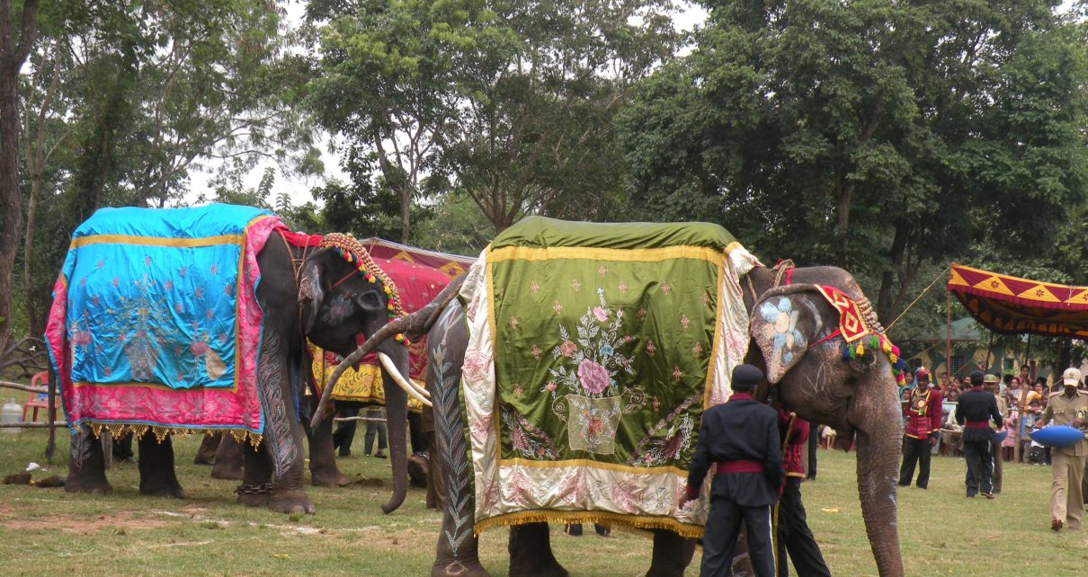 Sakrebyle Elephant Camp