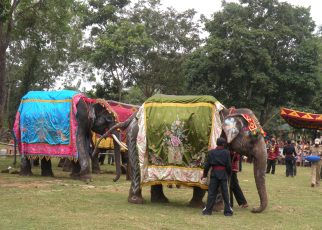 Sakrebyle Elephant Camp
