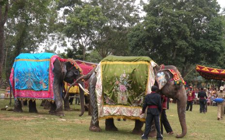 Sakrebyle Elephant Camp