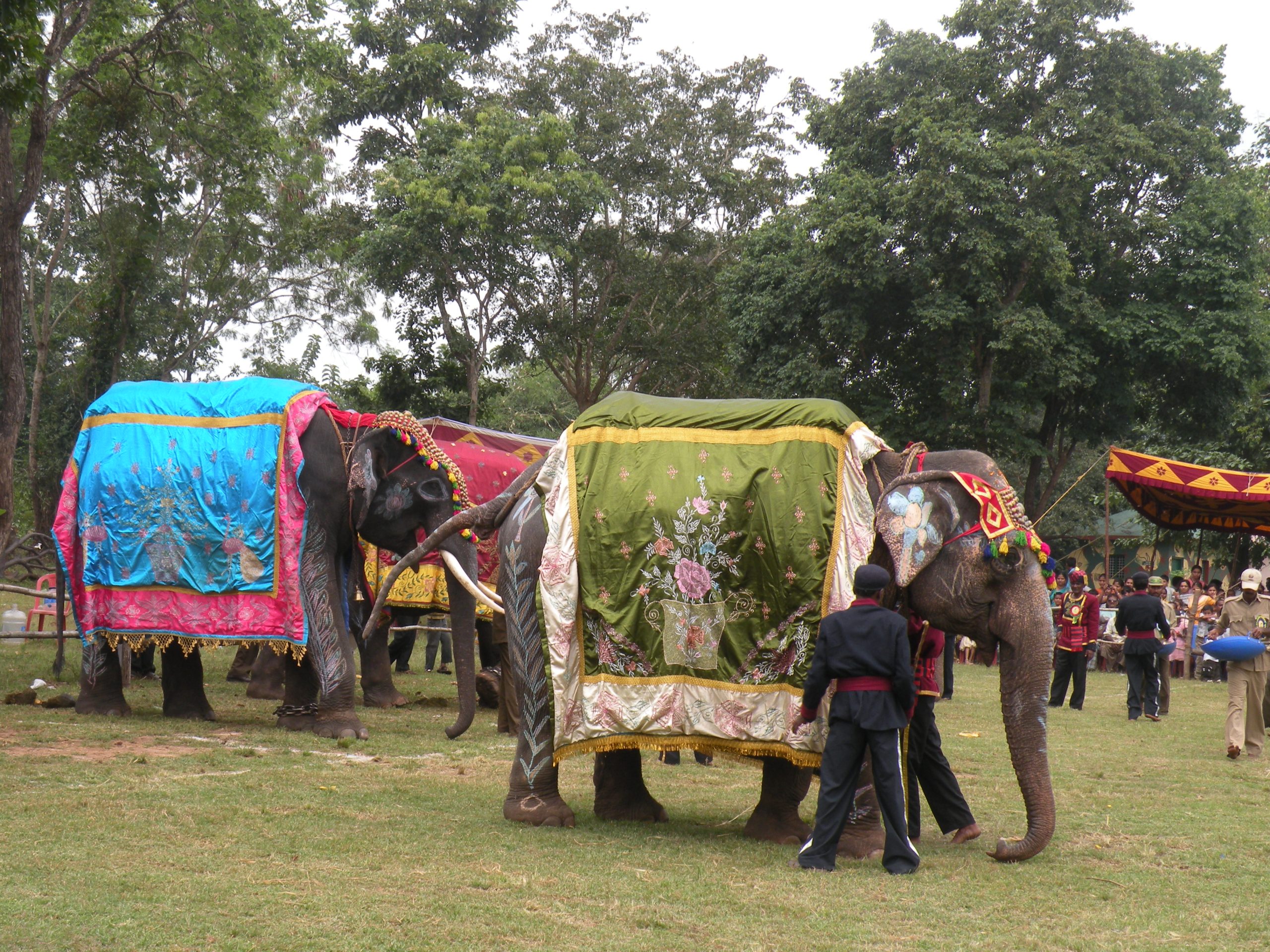 Sakrebyle Elephant Camp