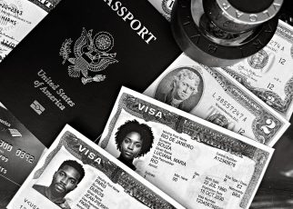 Visa travel rules