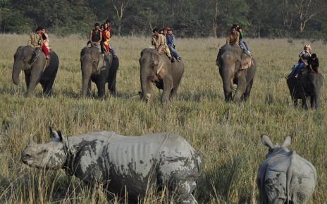 Assam wildlife tourism