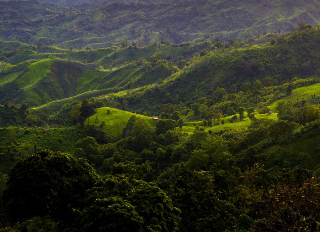 Sajek Valley tourist spots