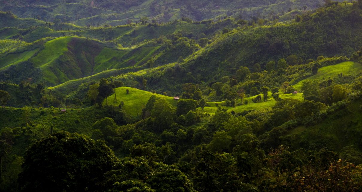 Sajek Valley tourist spots