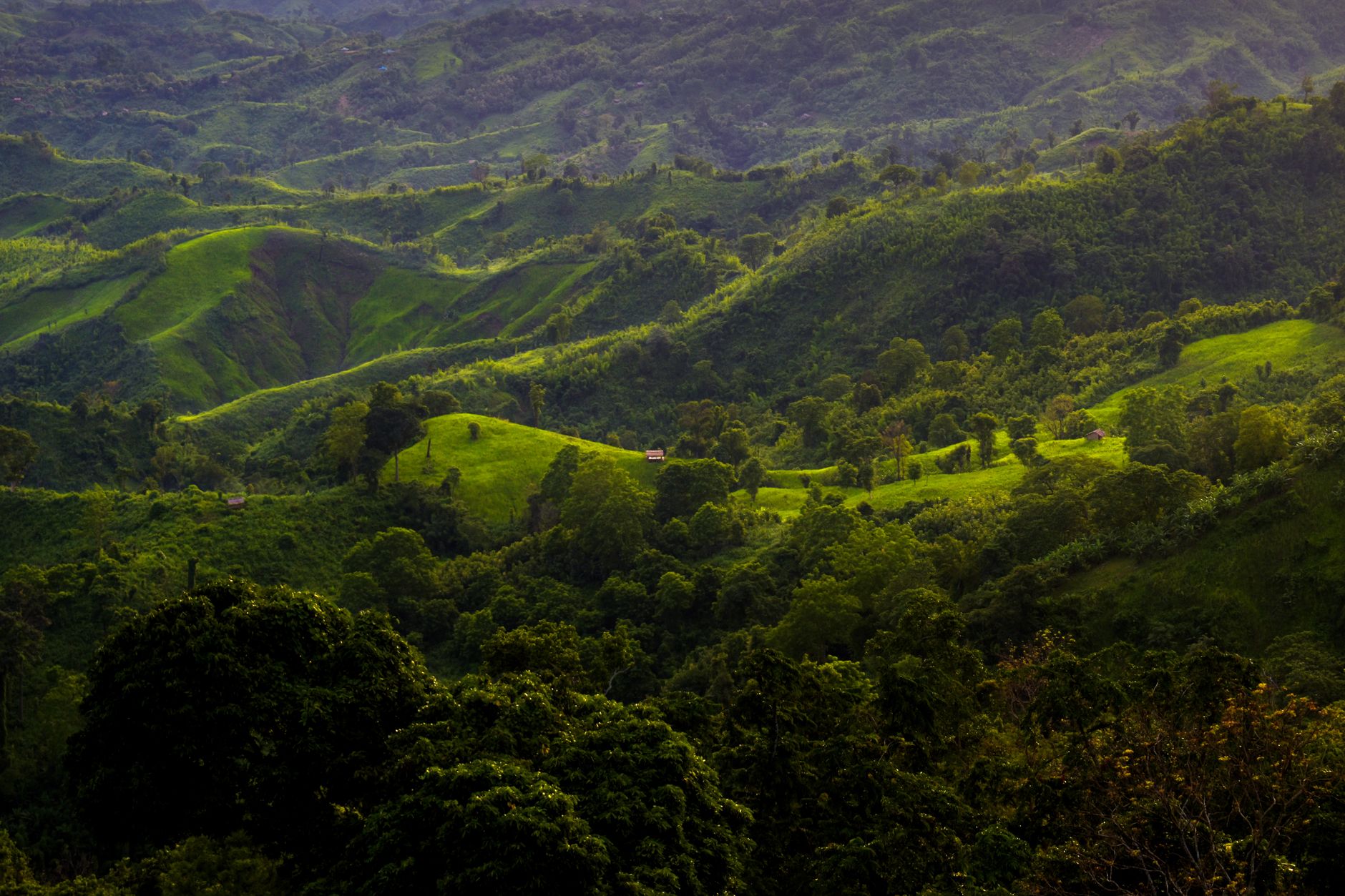Sajek Valley tourist spots