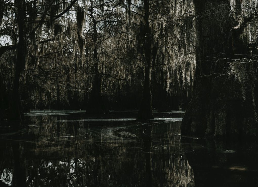 Tiana's Bayou Adventure reopening