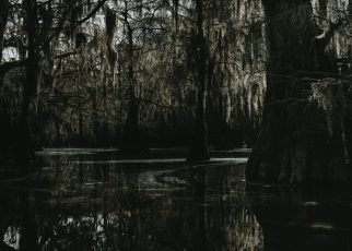 Tiana's Bayou Adventure reopening