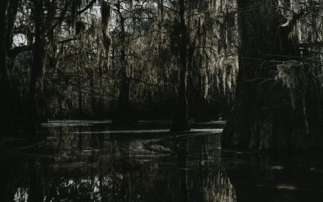 Tiana's Bayou Adventure reopening