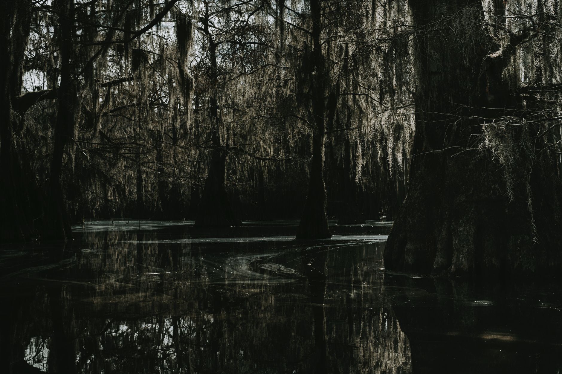 Tiana's Bayou Adventure reopening